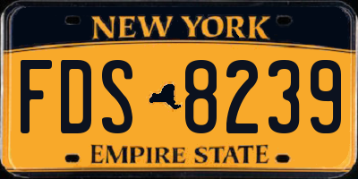 NY license plate FDS8239