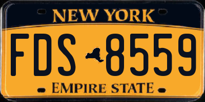 NY license plate FDS8559