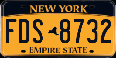 NY license plate FDS8732