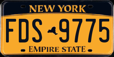 NY license plate FDS9775