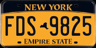 NY license plate FDS9825
