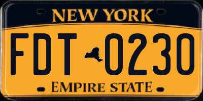 NY license plate FDT0230