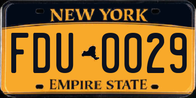 NY license plate FDU0029