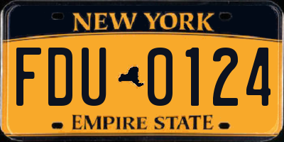 NY license plate FDU0124