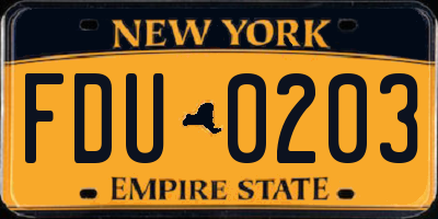 NY license plate FDU0203