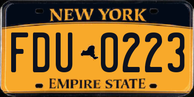 NY license plate FDU0223