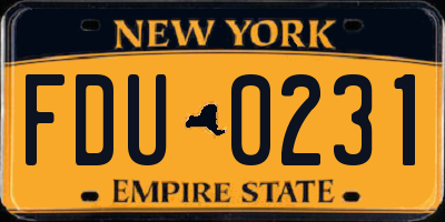 NY license plate FDU0231