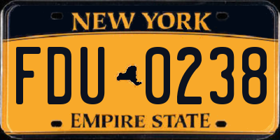 NY license plate FDU0238