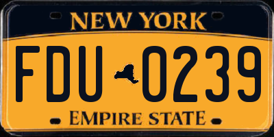 NY license plate FDU0239
