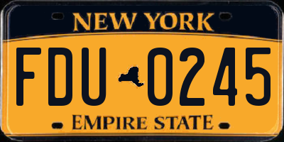 NY license plate FDU0245