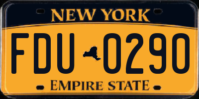 NY license plate FDU0290