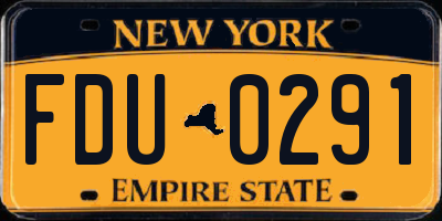 NY license plate FDU0291