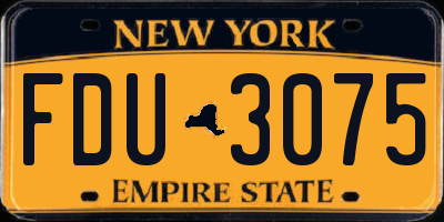 NY license plate FDU3075