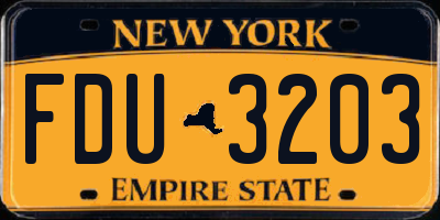 NY license plate FDU3203