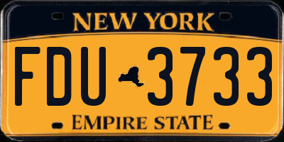 NY license plate FDU3733