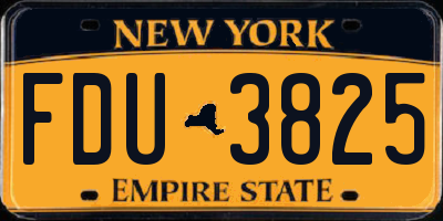 NY license plate FDU3825