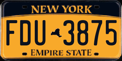 NY license plate FDU3875