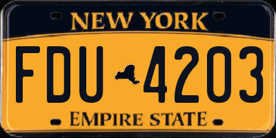 NY license plate FDU4203
