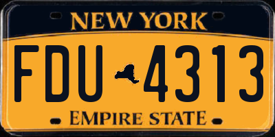 NY license plate FDU4313