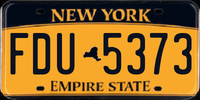 NY license plate FDU5373
