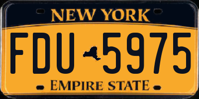 NY license plate FDU5975