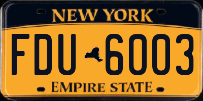 NY license plate FDU6003