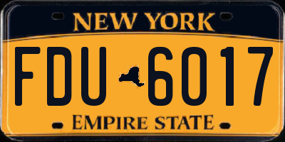 NY license plate FDU6017