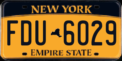 NY license plate FDU6029