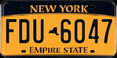 NY license plate FDU6047
