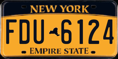 NY license plate FDU6124