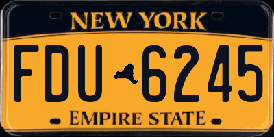 NY license plate FDU6245