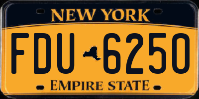 NY license plate FDU6250
