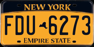 NY license plate FDU6273
