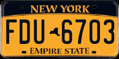 NY license plate FDU6703