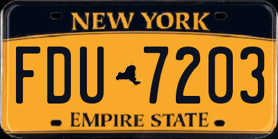NY license plate FDU7203