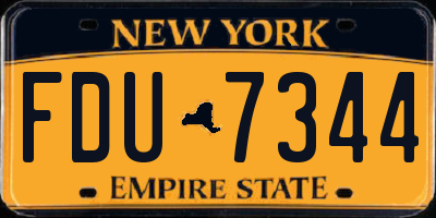 NY license plate FDU7344