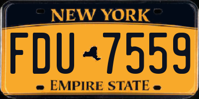 NY license plate FDU7559