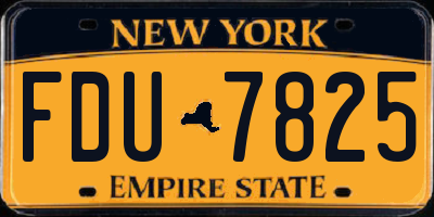 NY license plate FDU7825