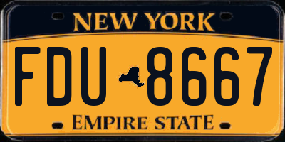 NY license plate FDU8667