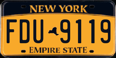 NY license plate FDU9119