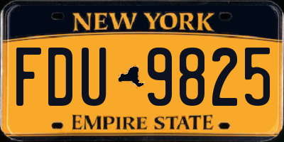 NY license plate FDU9825