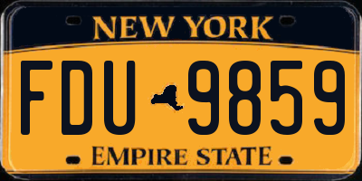 NY license plate FDU9859
