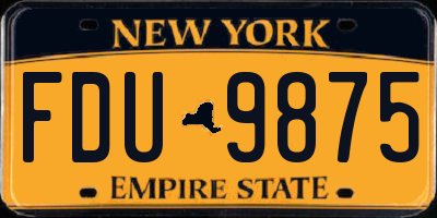 NY license plate FDU9875