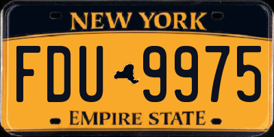 NY license plate FDU9975