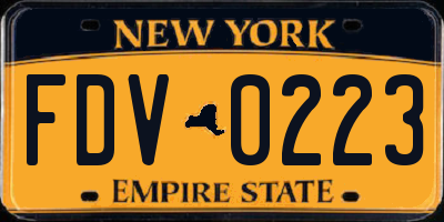 NY license plate FDV0223