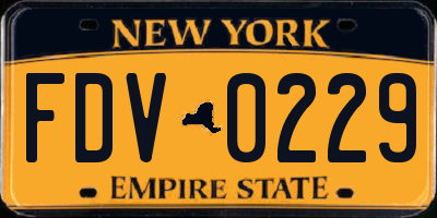 NY license plate FDV0229