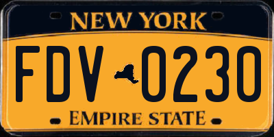 NY license plate FDV0230