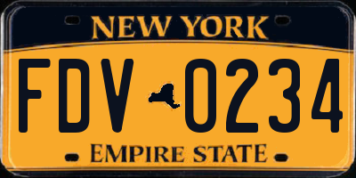 NY license plate FDV0234