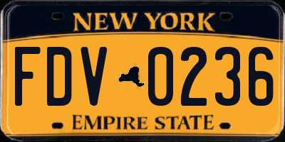 NY license plate FDV0236