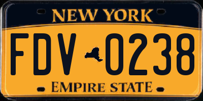 NY license plate FDV0238